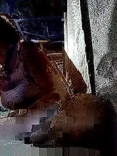 Yellabi Stripchat Webcam Model - Profile & Free Live Sex Show ...
